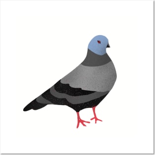 Pigeon #1 Posters and Art